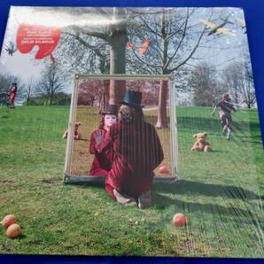 【2011年EUプレス初版 An Introduction to Syd Barrett 170g重量盤2LP シド・バレット 幽幻の世界 Pink Floyd】の画像3