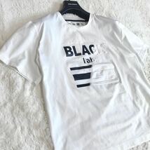 極美品 BLACK LABEL CRESTBRIDGE 半袖Tシャツ 立体ロゴ ブラックレーベルクレストブリッジ_画像3