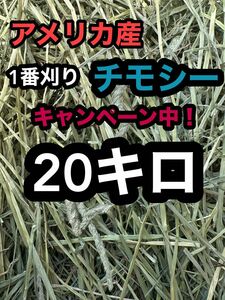 チモシー　20キロ　ウサギ モルモット　デグー チンチラ １番刈