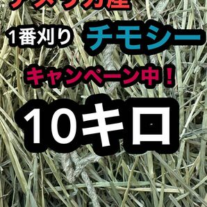 チモシー10キロ　ウサギ モルモット　デグー チンチラ １番刈