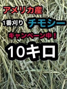 チモシー10キロ　ウサギ モルモット　デグー チンチラ １番刈