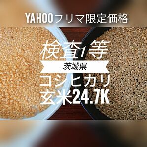 茨城県産コシヒカリ玄米25キロ（内容量24.7キロ）小分け不可
