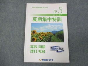 WG29-186 早稲田アカデミー 小5年 NNジュニア 夏期集中特訓 国語/理科/社会/算数 2022 12m0C