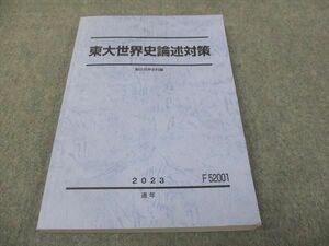 WI28-016 駿台 東大世界史論述対策 2023 通年 17S0D