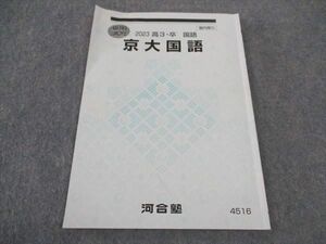 WJ05-070 河合塾 京大国語 京都大学 テキスト 2023 夏期講習 05s0C