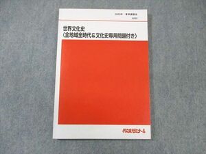 WK01-103 代ゼミ 世界文化史[全地域全時代＆文化史専用問題付き] 状態良品 2023 夏期 佐藤幸夫 13 s0D