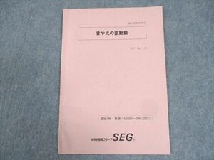 WK11-065 SEG 高1 物理Zクラス 音や光の振動数 テキスト 状態良い 2021 春期 有川誠之 02s0B