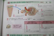 WJ26-071 メヂカルフレンド社 看護師国試 CS Clinical Study 国試対策/解剖生理等2022年1～12月号/臨時増刊号 状態良 14冊 83R3D_画像7