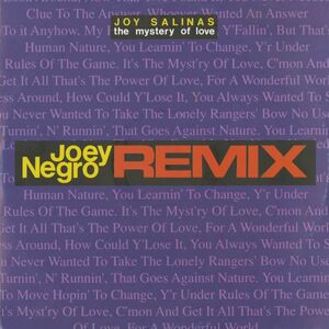 試聴 Joy Salinas - The Mystery Of Love (Joey Negro Remixes) [12inch] Flying Records ITA 1991 House