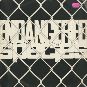 試聴 Endangered Species - Endangered Music [12inch] V4 Visons UK 1992 House