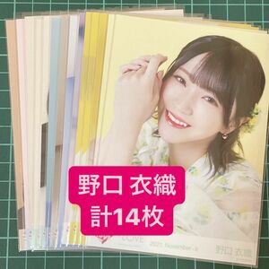 =LOVE 野口衣織 生写真 計14枚 まとめ売り