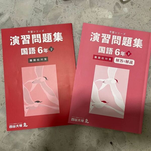 四谷大塚　予習シリーズ 国語6年下　演習問題集★難関校対策