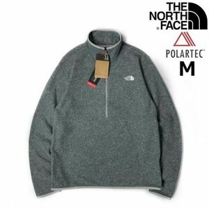 売切り【正規新品】THE NORTH FACE◆ALPINE POLARTEC 100 1/2-ZIP JACKET フリース ハーフジップ US限定 軽量(M)グレー 181024-35