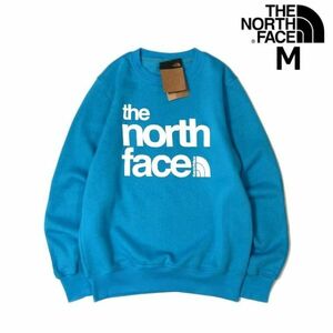 売切り【正規新品】THE NORTH FACE COORDINATES CREW トレーナー スウェット US限定 裏起毛 立体ロゴ グラフィック(M)青 181130-33