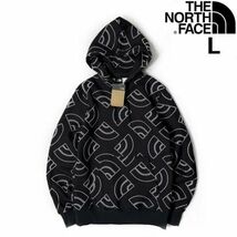 売切り【正規新品】THE NORTH FACE◆ALL OVER PRINT HOODIE パーカー US限定 裏起毛 ハーフドームロゴ 男女兼用(L)黒 総柄 181130-35_画像1