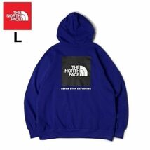 売切り【正規新品】THE NORTH FACE BOX NSE PULLOVER HOODIE パーカー US限定 バックプリント 裏起毛 男女兼用 登山(L)青 181130-30_画像3