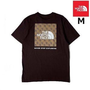 売切り【正規新品】THE NORTH FACE◆S/S BOX NSE TEE 半袖 Tシャツ US限定 ボックスロゴ グラフィック 男女兼用 キャンプ(M)茶 180902-15の画像1