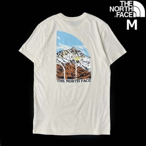 売切り【正規新品】THE NORTH FACE◆S/S GRAPHIC INJECTION TEE 半袖 Tシャツ US限定 ビッグロゴ グラフィック 上質(M)白 180902-15