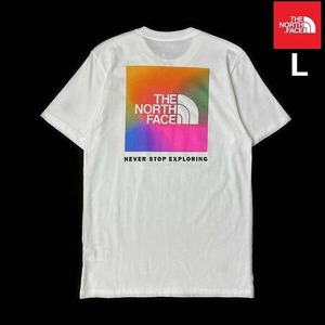 売切り【正規新品】THE NORTH FACE◆SHORT-SLEEVE BOX NSE TEE 半袖 Tシャツ US限定 ボックスロゴ レインボー 男女兼用(L)白 180902-15