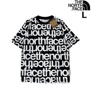 売切り【正規新品】THE NORTH FACE◆S/S ALL OVER PRINT BOX FIT TEE 半袖 Tシャツ US限定 コットン 上質 男女兼用(L)黒 総柄 181130-32