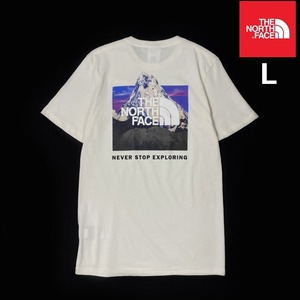 売切り【正規新品】THE NORTH FACE SHORT SLEEVE BOX NSE TEE 半袖 Tシャツ US限定 ボックスロゴ バックプリント 男女兼用(L)白 180902-15