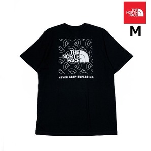 売切り【正規新品】THE NORTH FACE◆S/S BOX NSE TEE 半袖 Tシャツ US限定 ボックスロゴ グラフィック 男女兼用 キャンプ(M)黒 181130-15の画像1