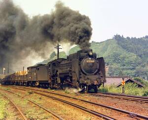 ☆鉄道写真　KGサイズ：国鉄　D51447　関西線