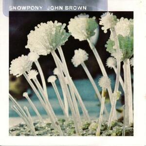 即決！SNOWPONY / JOHN BROWN [7”] オルタナ シューゲイザー ポストロック