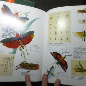 荒俣宏監修！世界大博物図鑑６冊！和本銅版画幻獣妖怪画魚類博物画大量掲載！定価８万7千円！  検捕鯨河童江戸時代蘭学ボタニカルアートの画像6