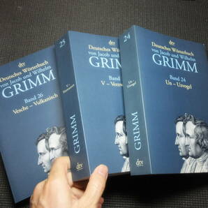 洋書独文！グリム兄弟編纂！ドイツ語辞典！全33冊揃！GRIMM DEUTSCHES WORTERBUCH！      検ゲーテカントヘーゲルドイツ文学ニーチェの画像3