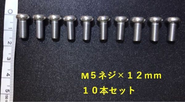 M5ネジ×12ｍｍ　１０本セット　新品未使用