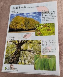 三鷹市　花と緑のまち三鷹創造協会　クリアファイル