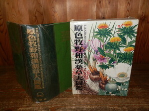 . color .. peace . medicinal herbs large illustrated reference book all color Showa era 63 year 10 month 31 day the first version issue body 35,000 jpy Ranma .