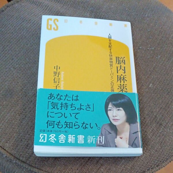 脳内麻薬　人間を支配する快楽物質ドーパミンの正体 （幻冬舎新書　な－１７－１） 中野信子／著