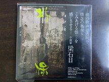 新品 自主製作盤 朴保バンド パクポー PAK POE BAND / BRIDGE 架橋～未来へ 2009年 デビュー30周年記念アルバム_画像2