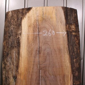 《160サイズ》ウォールナット材 DIY板材 bwn_0738 木材／端材 の画像6