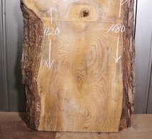 《200サイズ）松材　mtu_464　材木　DIY板材　木材／端材　_画像3