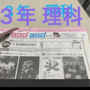 理科　カラーテスト 3年 24枚？東京書籍？新学社 複写解答