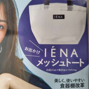 LEE付録IENAメッシュトートバッグ