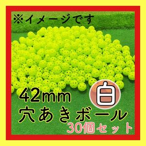 穴あきボール　野球　練習用　バッティング練習　屋内　屋外 ゴルフ プラスチック