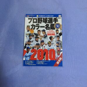 2010プロ野球選手カラー名鑑保存版