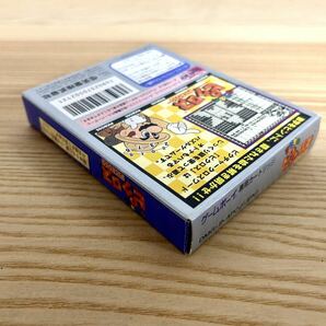 【限定即決】マリオのピクロス 箱‐取説あり 任天堂 DMG-P-APCJ N.2530 ゲームボーイ アドバンス レア レトロ 同梱可能の画像5