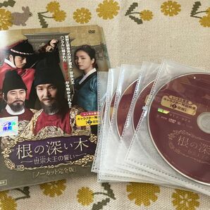 根の深い木 世宗大王の誓い ノーカット完全版 全話　　　12巻セット　DVD 韓国ドラマ