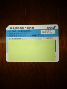 【送料無料】 ANA株主優待券 1枚 2024年5月31日まで 