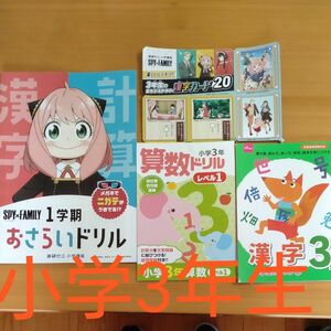 小学3年生　おさらいドリル３冊　チャレンジ漢字カード20