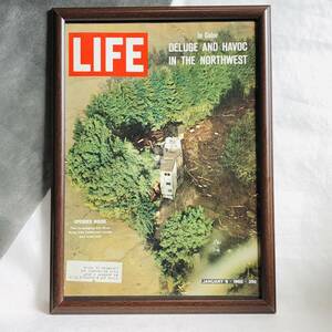 『 LIFE誌　表紙 』ビンテージ 　60年代　フレーム 付 ポスター 当時物 額付 LIFE 雑誌 アンティーク