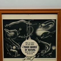 ビンテージ 広告　ポスター フレーム付　当時物　『 エチル 』 1940's　 輸入雑貨　 ( AZ1582 )_画像3