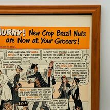 ビンテージ 広告　ポスター フレーム付　当時物　『 ブラジルナッツ 』 1940's　 輸入雑貨　 ( AZ1581 )_画像2
