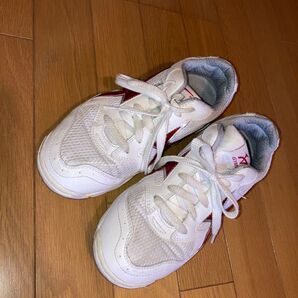 体育館ジュース24