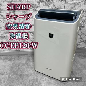 SHARP シャープ 空気清浄除湿機 CV-EF120-W　2015年製
